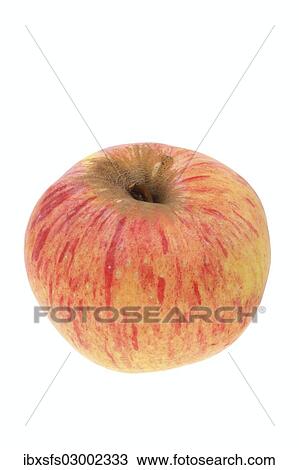 "Apple, Himbernal variety" View Large Photo Image Stock Image - "Apple, Himbernal variety". Fotosearch