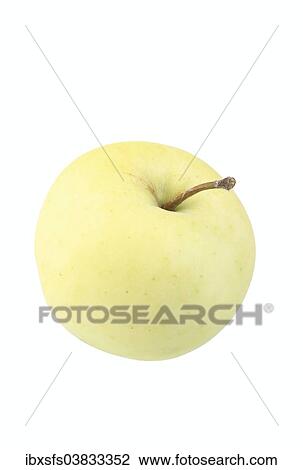 "Apple, Klarapfel variety" View Large Photo Image Stock Image - "Apple, Klarapfel variety". Fotosearch
