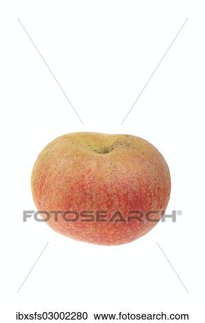 Stock Image - "Apple, Koeniglicher Kurzstiel or Royal Short Stem variety". Fotosearch