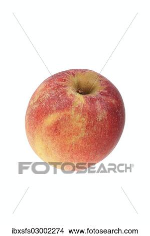 Picture - "Apple, Mother Apple variety". Fotosearch