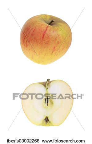 "Apple, Papelus Rambur variety, with a cut apple" View Large Photo Image Stock Photo - "Apple, Papelus Rambur variety, with a cut apple". Fotosearch