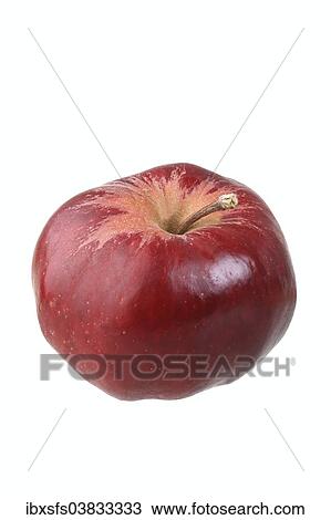 "Apple, Roter Herbstkalvill variety" View Large Photo Image Stock Image - "Apple, Roter Herbstkalvill variety". Fotosearch