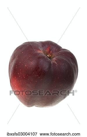 "Apple, Roter Herbstkalvill variety" View Large Photo Image Stock Photo - "Apple, Roter Herbstkalvill variety". Fotosearch