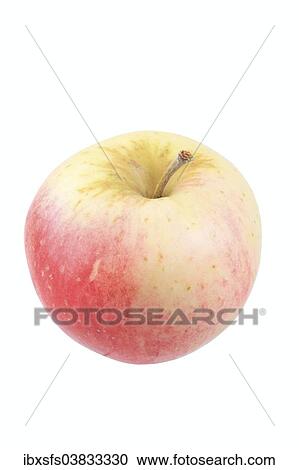 Stock Image - "Apple, Sommerzimtapfel variety". Fotosearch