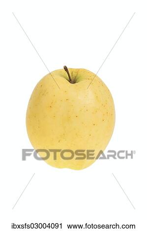 "Apple, Vaterapfel variety" View Large Photo Image Stock Image - "Apple, Vaterapfel variety". Fotosearch