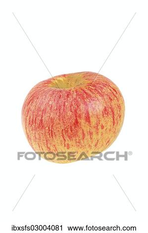 "Apple, Wohlschmeckender aus Vierlanden variety" View Large Photo Image Stock Image - "Apple, Wohlschmeckender aus Vierlanden variety". Fotosearch
