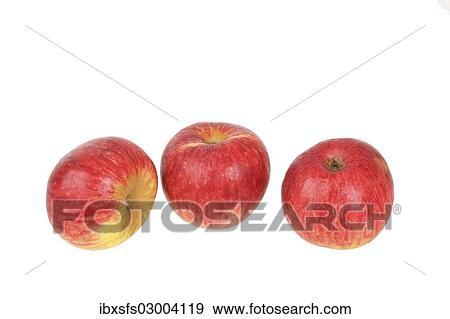 Stock Photo - "Apples, Gewuerzluiken variety, traditional sort for producing cider". Fotosearch