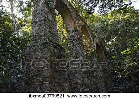 "Aqueduct in the rainforest near Abrao, Ilha Grande, State of Rio de Janeiro, Brazil, South America" View Large Photo Image Stock Image - "Aqueduct in the rainforest near Abrao, Ilha Grande, State of Rio de Janeiro, Brazil, South America". Fotosearch