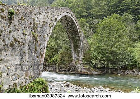 "Arch bridge over the river Firtina, Firtina Valley, Rize Province, Pontic Mountains, Black Sea Region, Turkey, Asia" View Large Photo Image Picture - "Arch bridge over the river Firtina, Firtina Valley, Rize Province, Pontic Mountains, Black Sea Region, Turkey, Asia". Fotosearch