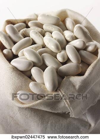 Argentin beans View Large Photo Image Stock Photography - Argentin beans. Fotosearch