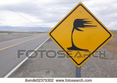 Stock Image - "Argentine street sign """"caution wind"""", Pan-American Highway, Patagonia, Santa Cruz, Argentina, South America, Latin America, America, South America". Fotosearch