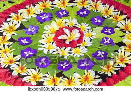 "Arrangement of petals and leaves floating in a basin of water, Ubud, Bali, Indonesia, Asia" View Large Photo Image Stock Photography - "Arrangement of petals and leaves floating in a basin of water, Ubud, Bali, Indonesia, Asia". Fotosearch