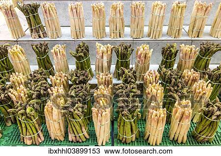 "Asparagus, at a market stall, France, Europe" View Large Photo Image Stock Image - "Asparagus, at a market stall, France, Europe". Fotosearch