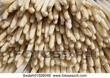 Asparagus on the market View Large Photo Image Stock Photo - Asparagus on the market. Fotosearch