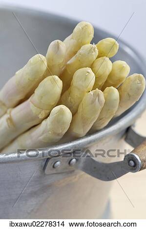 Asparagus View Large Photo Image Picture - Asparagus. Fotosearch