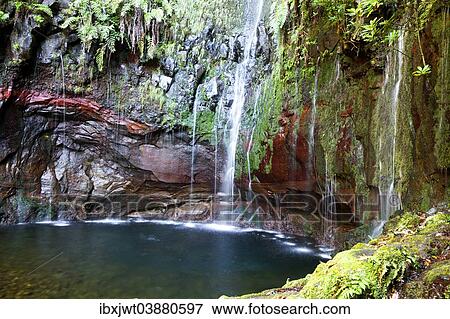 "At 25 Sources, Rabacal, Madeira, Portugal, Europe" View Large Photo Image Stock Photo - "At 25 Sources, Rabacal, Madeira, Portugal, Europe". Fotosearch