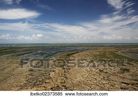 "Atlantic coast at low tide, Ile d? ÆOleron island, Poitou-Charentes region, departement of Charente-Maritime, France, Europe" View Large Photo Image Stock Photography - "Atlantic coast at low tide, Ile d? ÆOleron island, Poitou-Charentes region, departement of Charente-Maritime, France, Europe". Fotosearch
