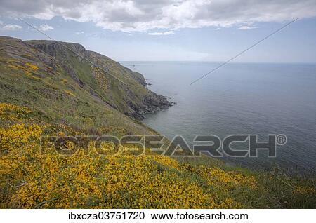 "Atlantic Coast, Devon, England, United Kingdom, Europe" View Large Photo Image Stock Image - "Atlantic Coast, Devon, England, United Kingdom, Europe". Fotosearch
