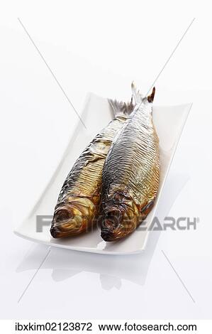 "Atlantic Herring (Clupea harengus), smoked and salted" View Large Photo Image Stock Image - "Atlantic Herring (Clupea harengus), smoked and salted". Fotosearch