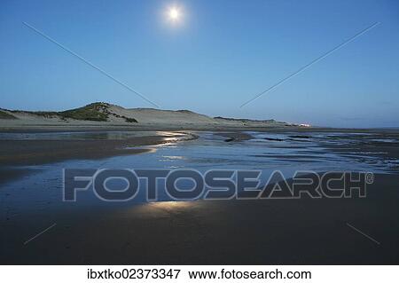 "Atlantic Ocean, Atlantic coast at low tide, dunes, dune landscape, beach near Naujac-sur-Mer in the moonlight, Aquitaine region, departement of Gironde, France, Europe" View Large Photo Image Stock Photo - "Atlantic Ocean, Atlantic coast at low tide, dunes, dune landscape, beach near Naujac-sur-Mer in the moonlight, Aquitaine region, departement of Gironde, France, Europe". Fotosearch