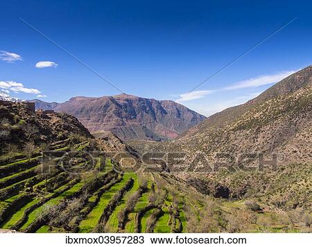 "Atlas Mountains, Anammer, Ourika Valley, Marrakech-Tensift-Al Haouz, Morocco, Africa" View Large Photo Image Stock Image - "Atlas Mountains, Anammer, Ourika Valley, Marrakech-Tensift-Al Haouz, Morocco, Africa". Fotosearch