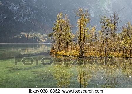 Stock Image - "Autumn at Almsee lake, Grunau im Almtal, Upper Austria, Austria, Europe". Fotosearch