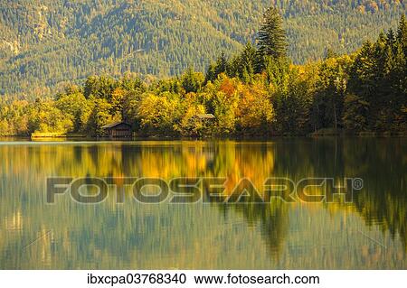 "Autumn at Barmsee in Kruen, Upper Bavaria, Bavaria, Germany, Europe" View Large Photo Image Stock Image - "Autumn at Barmsee in Kruen, Upper Bavaria, Bavaria, Germany, Europe". Fotosearch
