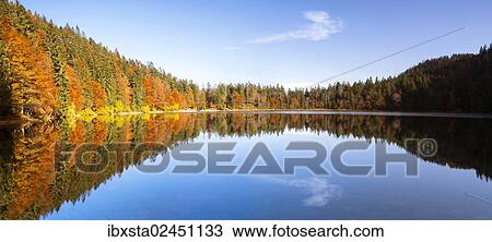 "Autumn at Feldsee Lake with reflections near Mt Feldberg, Black Forest, Germany, Europe" View Large Photo Image Stock Image - "Autumn at Feldsee Lake with reflections near Mt Feldberg, Black Forest, Germany, Europe". Fotosearch