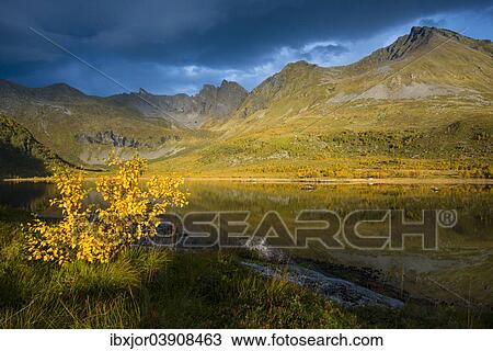 "Autumn at Lake Keilvatnet, Keilvatnet, Eggum, Vestvagoy, Lofoten, Norway, Europe" View Large Photo Image Stock Image - "Autumn at Lake Keilvatnet, Keilvatnet, Eggum, Vestvagoy, Lofoten, Norway, Europe". Fotosearch