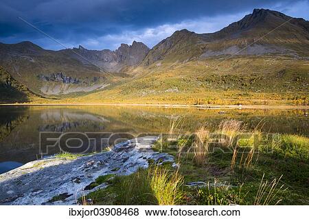 "Autumn at Lake Keilvatnet, Keilvatnet, Eggum, Vestvagoy, Lofoten, Norway, Europe" View Large Photo Image Stock Photo - "Autumn at Lake Keilvatnet, Keilvatnet, Eggum, Vestvagoy, Lofoten, Norway, Europe". Fotosearch