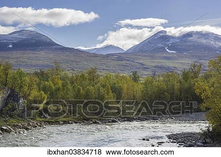 Stock Photo - "Autumn coloured birch trees on the Abiskojakka river, Lapporten trough valley at the back, Abisko National Park, Norrbotten County, Sweden, Europe". Fotosearch