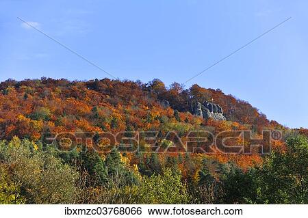 "Autumn coloured trees on Mt Glatzenstein, Franconian Jura, Schnaittach, Middle Franconia, Bavaria, Germany, Europe" View Large Photo Image Stock Photograph - "Autumn coloured trees on Mt Glatzenstein, Franconian Jura, Schnaittach, Middle Franconia, Bavaria, Germany, Europe". Fotosearch