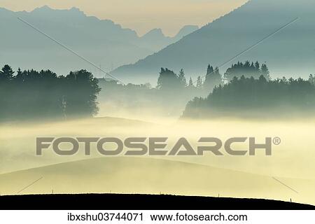 "Autumn fog atmosphere in Swiss Plateau or Central Plateau, Hirzel, Canton of Zurich, Switzerland, Europe" View Large Photo Image Stock Image - "Autumn fog atmosphere in Swiss Plateau or Central Plateau, Hirzel, Canton of Zurich, Switzerland, Europe". Fotosearch