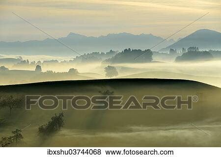 "Autumn fog atmosphere in Swiss Plateau or Central Plateau, Hirzel, Canton of Zurich, Switzerland, Europe" View Large Photo Image Stock Photo - "Autumn fog atmosphere in Swiss Plateau or Central Plateau, Hirzel, Canton of Zurich, Switzerland, Europe". Fotosearch