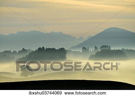 "Autumn fog atmosphere in Swiss Plateau or Central Plateau, Hirzel, Canton of Zurich, Switzerland, Europe" View Large Photo Image Stock Photo - "Autumn fog atmosphere in Swiss Plateau or Central Plateau, Hirzel, Canton of Zurich, Switzerland, Europe". Fotosearch