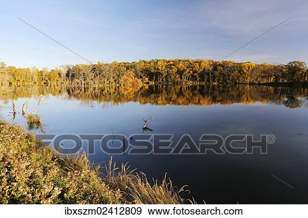 "Autumn in Minnesota, USA" View Large Photo Image Stock Photo - "Autumn in Minnesota, USA". Fotosearch