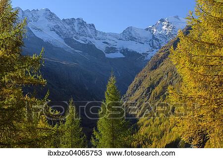 Stock Image - "Autumn in the Gran Paradiso National Park, Valnontey, Piedmont, Italy, Europe". Fotosearch
