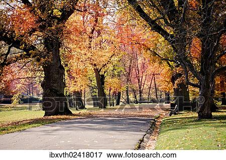 "Autumn in the Hofgarten in Coburg, Bavaria, Germany, Europe" View Large Photo Image Stock Photo - "Autumn in the Hofgarten in Coburg, Bavaria, Germany, Europe". Fotosearch