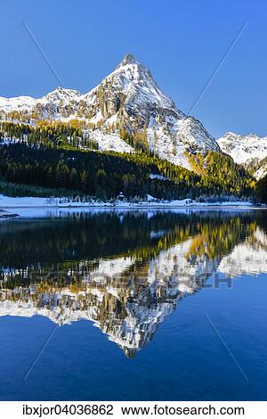 Stock Image - "Autumn in the Riedingtal Nature Park, Schliereralm, Schlierersee, reflection of Mt. Riedingspitze, autumn colours, larches, first snow, Zederhaus, Lungau, Salzburg, Austria, Europe". Fotosearch