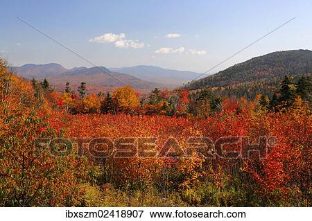 Stock Photo - "Autumn in the White Mountains, New Hampshire, USA". Fotosearch