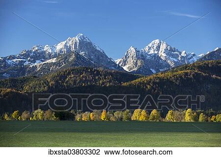 "Autumn landscape, near Fussen, Ostallgau, Bavaria, Germany, Europe" View Large Photo Image Stock Image - "Autumn landscape, near Fussen, Ostallgau, Bavaria, Germany, Europe". Fotosearch