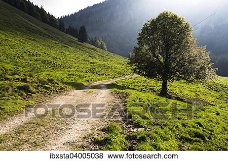 "Autumn mood, Gross Euchst Alm, Kronberg, Alpstein, Appenzell, Switzerland, Europe" View Large Photo Image Stock Photo - "Autumn mood, Gross Euchst Alm, Kronberg, Alpstein, Appenzell, Switzerland, Europe". Fotosearch