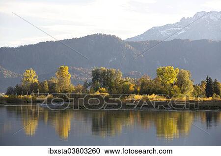 "Autumn mood with mountain views on Forggensee lake near Fussen, East Allgau, Bavaria, Germany, Europe" View Large Photo Image Stock Image - "Autumn mood with mountain views on Forggensee lake near Fussen, East Allgau, Bavaria, Germany, Europe". Fotosearch