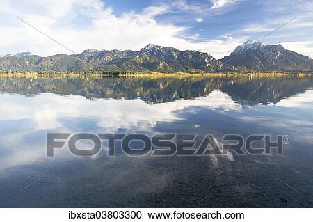 "Autumn mood with mountain views on Forggensee lake near Fussen, East Allgau, Bavaria, Germany, Europe" View Large Photo Image Stock Image - "Autumn mood with mountain views on Forggensee lake near Fussen, East Allgau, Bavaria, Germany, Europe". Fotosearch