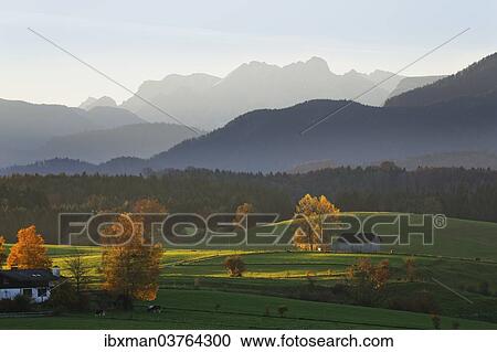 "Autumn morning in the foothills of the Alps, view from Mt Aidlinger Hoehe, Aidling, Riegsee, Pfaffenwinkel region, Upper Bavaria, Bavaria, Germany, Europe" View Large Photo Image Stock Image - "Autumn morning in the foothills of the Alps, view from Mt Aidlinger Hoehe, Aidling, Riegsee, Pfaffenwinkel region, Upper Bavaria, Bavaria, Germany, Europe". Fotosearch