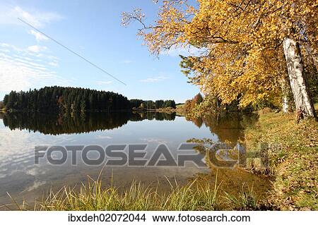 Picture - "Autumn on Schmuttersee Lake near Lechbruck, Ostallgaeu, Allgaeu, Bavaria, Germany, Europe". Fotosearch