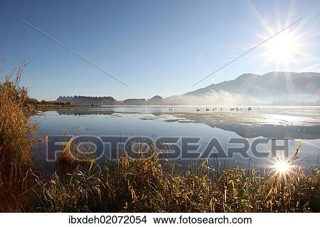 "Autumnal atmosphere on Gruentensee Lake, near Nesselwang, Ostallgaeu, Allgaeu, Bavaria, Germany, Europe" View Large Photo Image Picture - "Autumnal atmosphere on Gruentensee Lake, near Nesselwang, Ostallgaeu, Allgaeu, Bavaria, Germany, Europe". Fotosearch