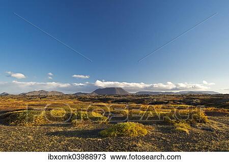 "Autumnal foliage, Myvatn area, Northeastern Region, Iceland, Europe" View Large Photo Image Stock Image - "Autumnal foliage, Myvatn area, Northeastern Region, Iceland, Europe". Fotosearch