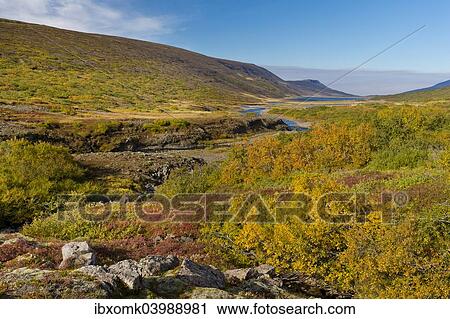 "Autumnal foliage, near Lagarfljot Lake, also Logurinn Lake, near Egilsstaoir, Eastern Region, Iceland, Europe" View Large Photo Image Stock Image - "Autumnal foliage, near Lagarfljot Lake, also Logurinn Lake, near Egilsstaoir, Eastern Region, Iceland, Europe". Fotosearch