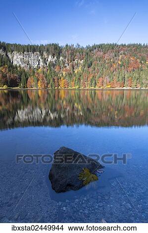 "Autumnal forest at Feldsee Lake with reflections, near Mt Feldberg, Black Forest, Baden-Wuerttemberg, Germany, Europe" View Large Photo Image Picture - "Autumnal forest at Feldsee Lake with reflections, near Mt Feldberg, Black Forest, Baden-Wuerttemberg, Germany, Europe". Fotosearch